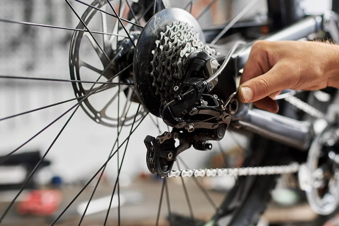 cat-bike-accessories-2-1080