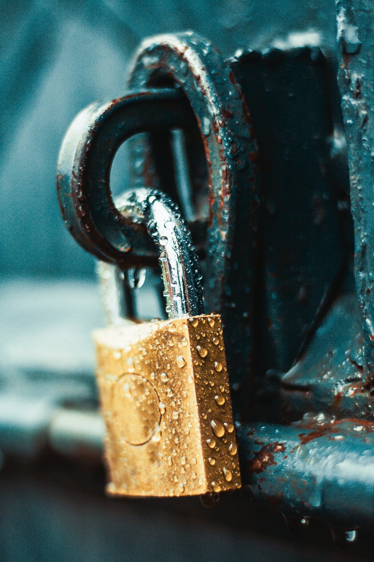 Safety & Security