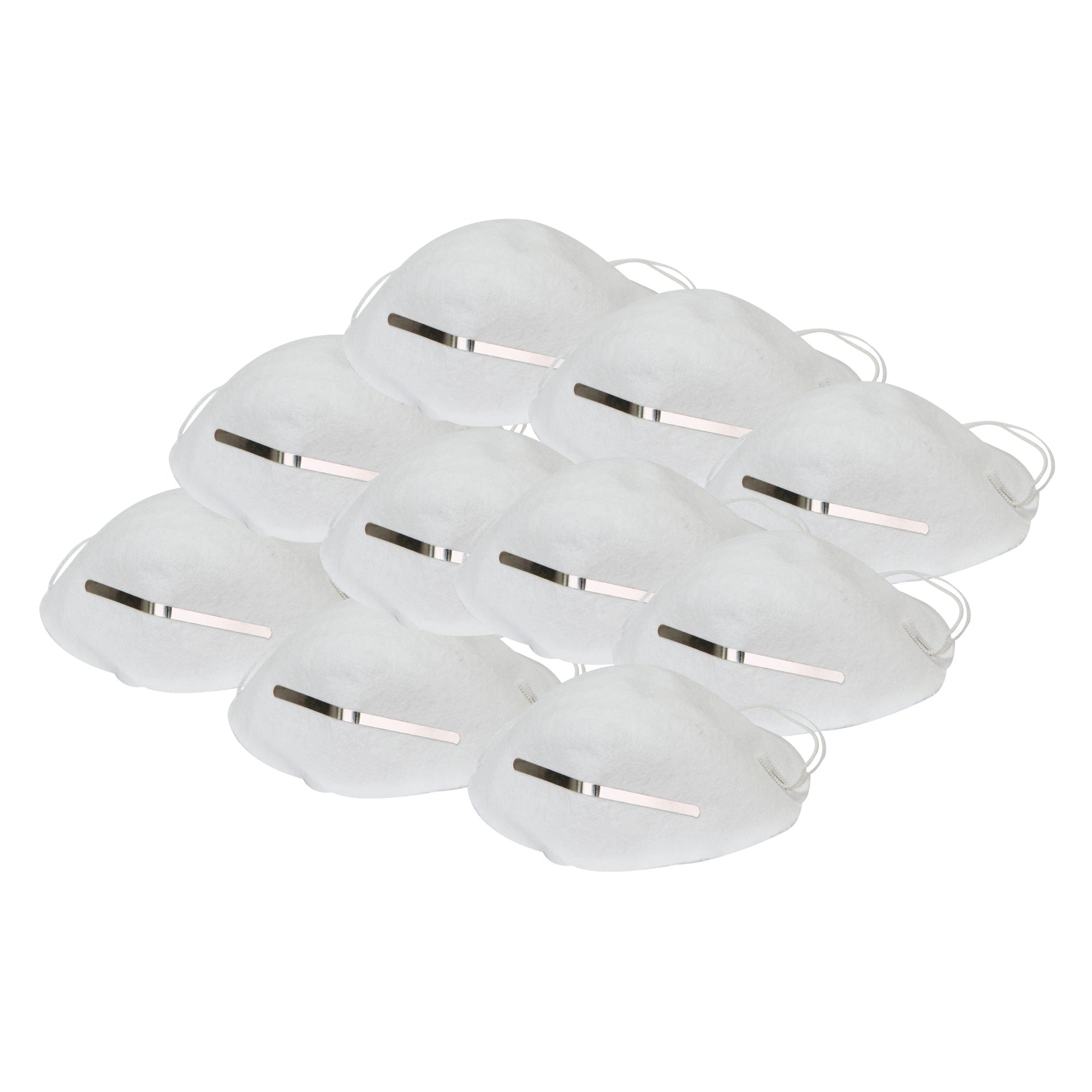 10 Piece Dust Mask
