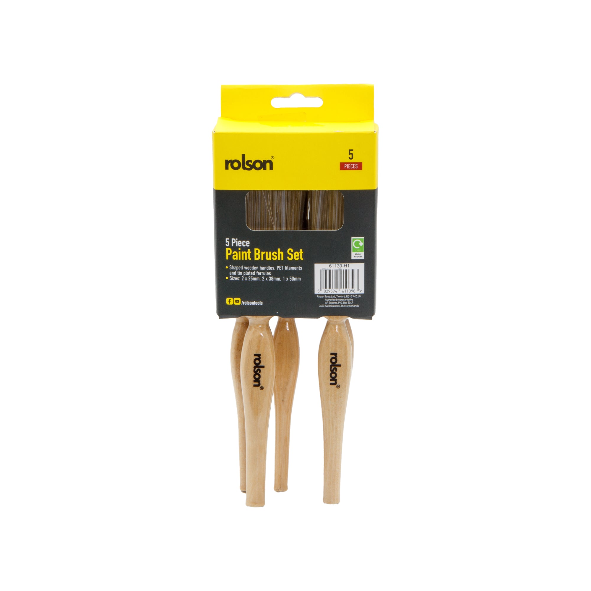 5 Piece Paint Brush Set