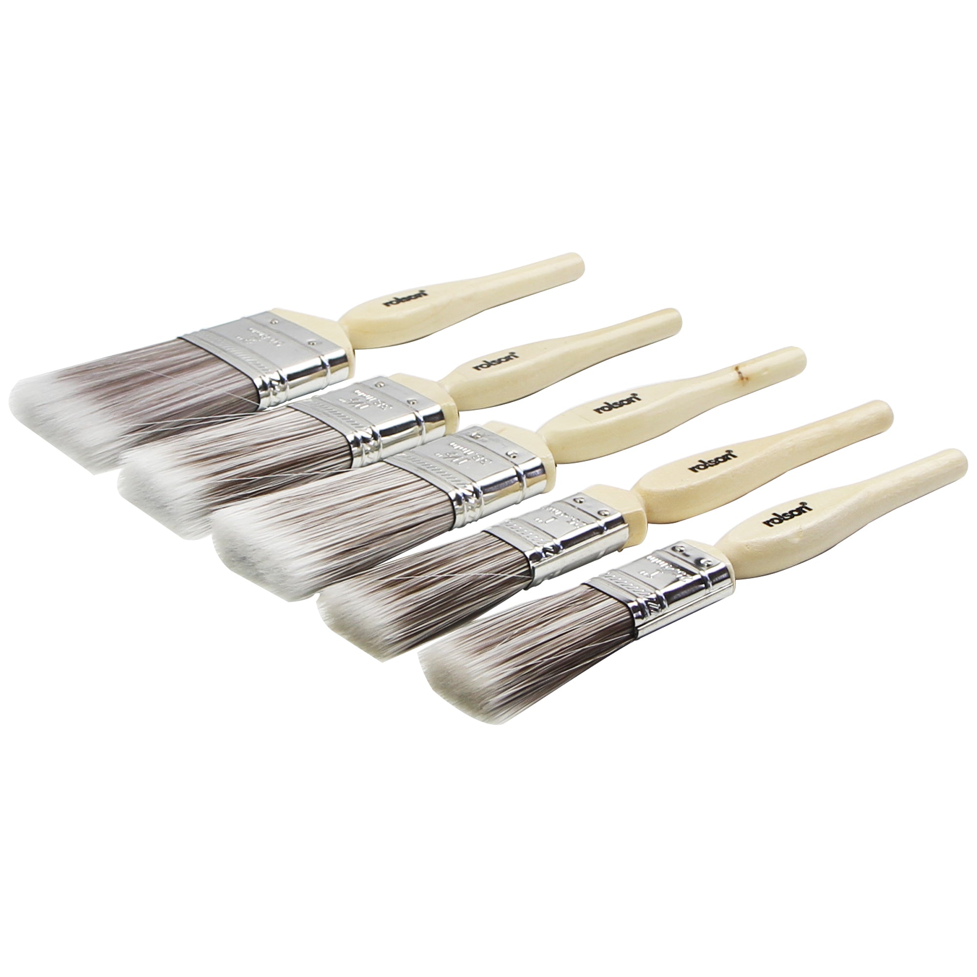 5 Piece Paint Brush Set