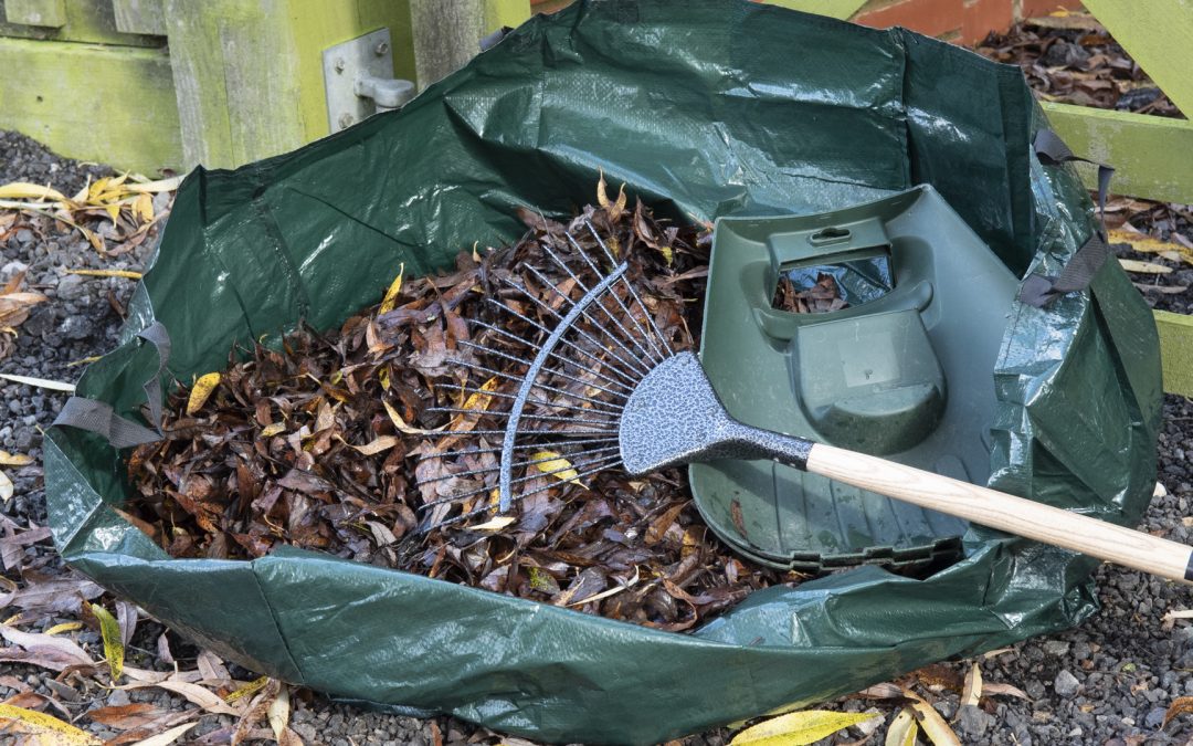 Its garden tidy up season